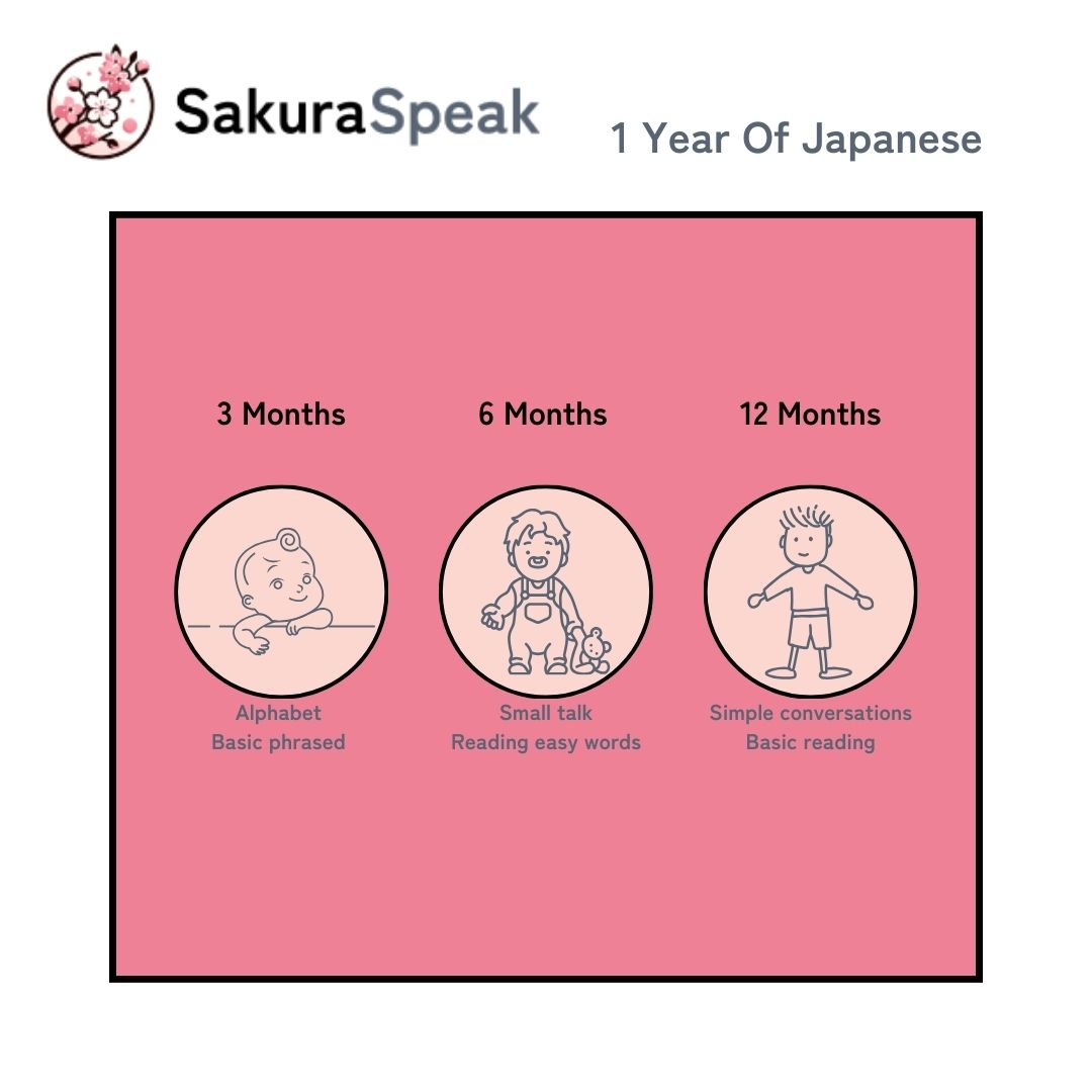 timeline of one year learning japanese